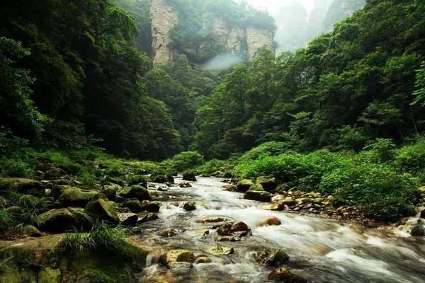 黎明守卫者